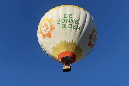 zonnebloem2
